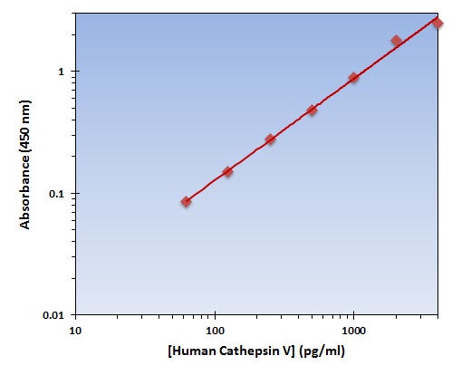 Human Cathepsin V ELISA Kit