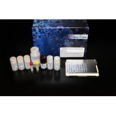 Rat IL-1 alpha ELISA Kit