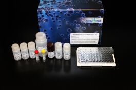 Human Fetuin A ELISA Kit