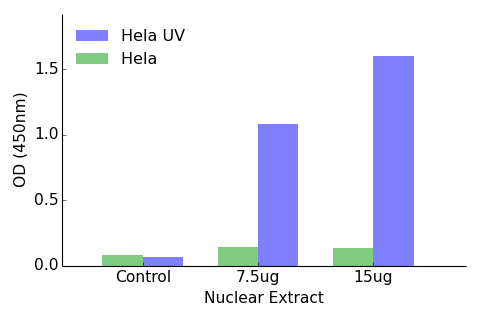 ATF2 (phospho Thr69 or 51) ELISA Kit