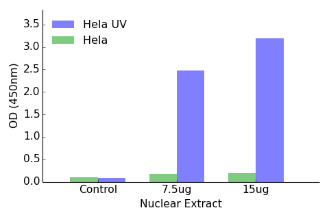 ATF2 (phospho Thr71 or 53) ELISA Kit