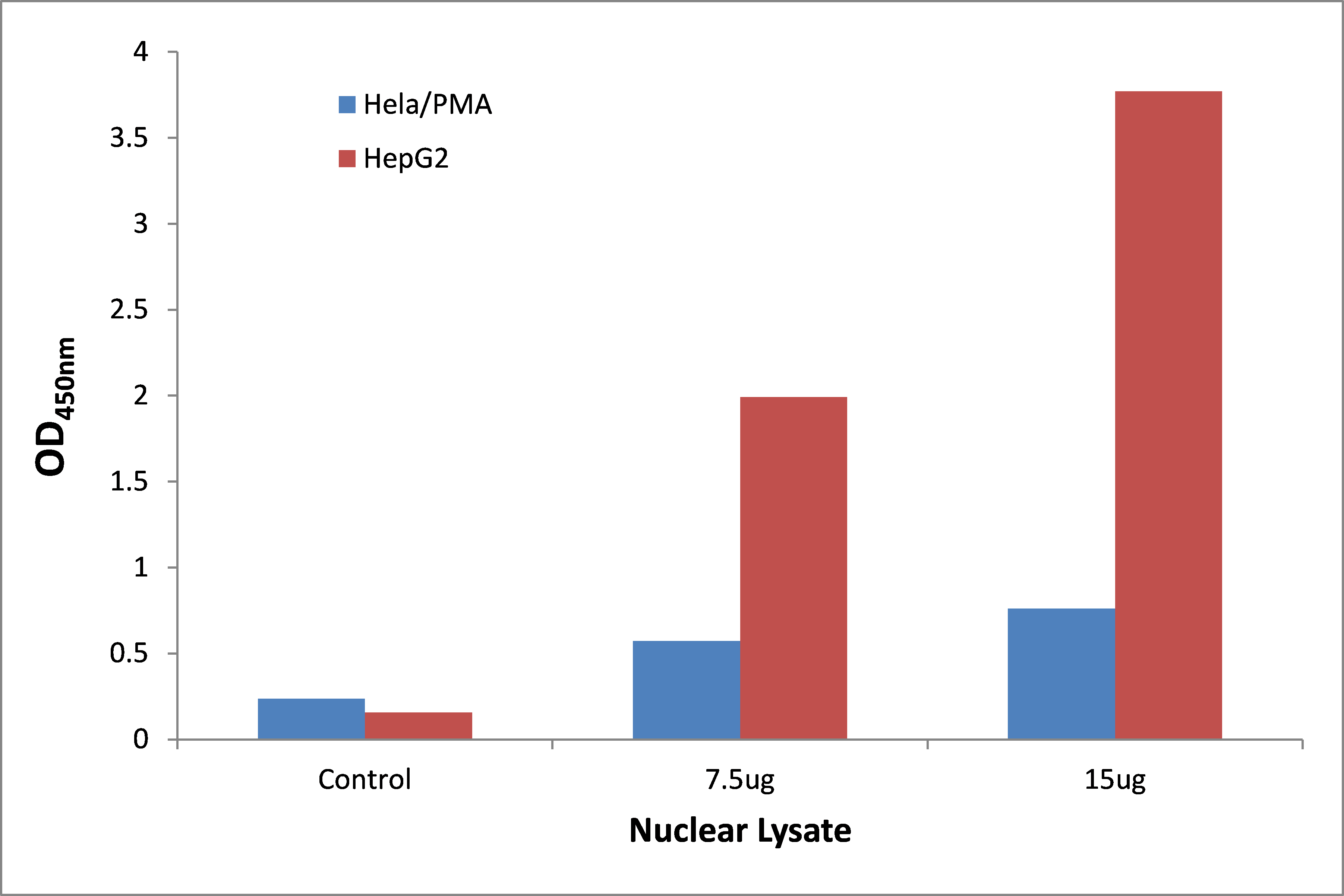 STAT1 ELISA Kit