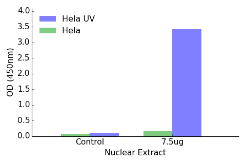 ATF2 ELISA Kit