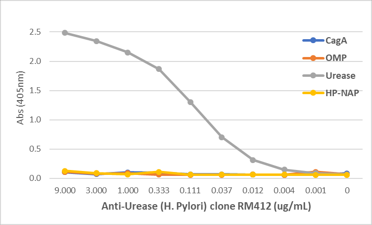 Anti-Urease (Helicobacter pylori) Antibody [RM412]