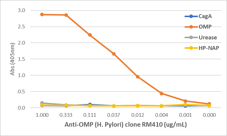 Anti-Outer Membrane Protein (Helicobacter pylori) Antibody [RM410]