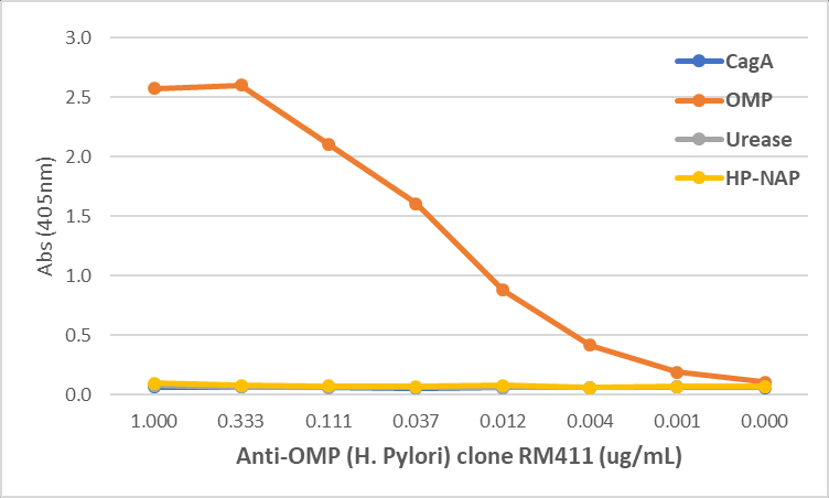 Anti-Outer Membrane Protein (Helicobacter pylori) Antibody [RM411]