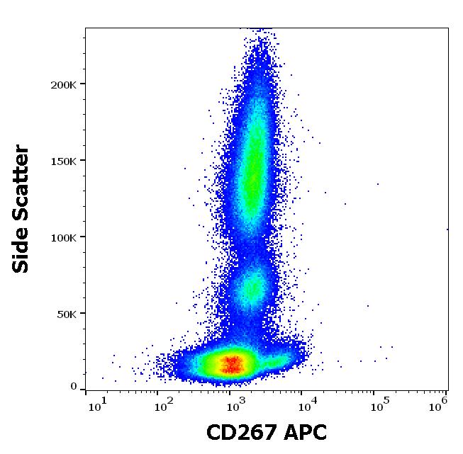 Anti-CD267 Antibody [1A1] (APC)