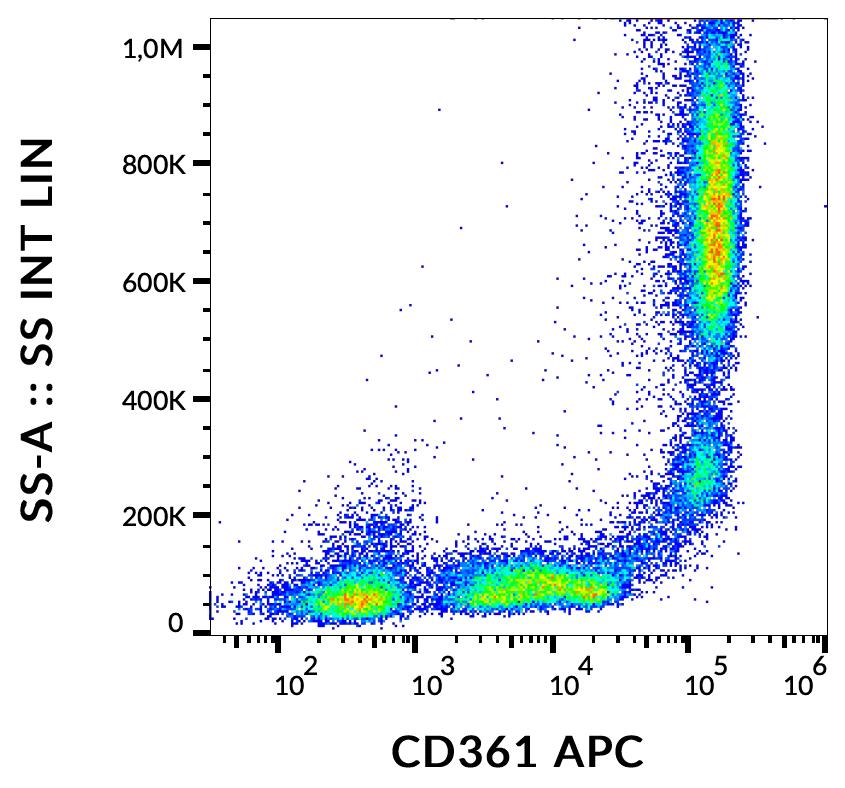 Anti-CD361 Antibody [MEM-216] (APC)