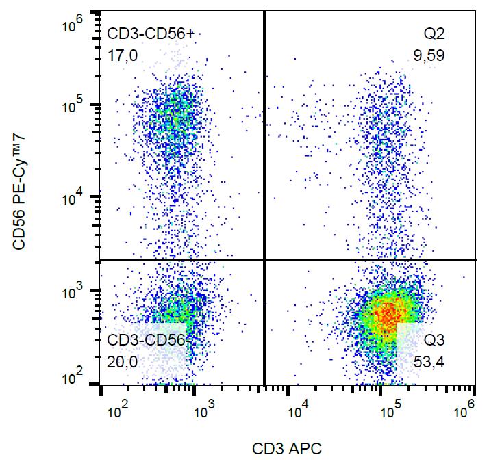 Anti-NCAM1 Antibody [LT56] (PE-Cyanine 7)