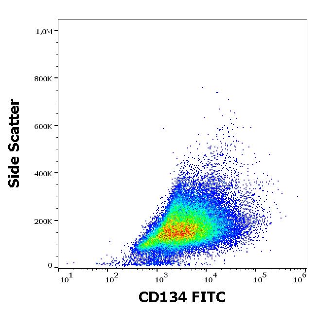 Anti-CD134 Antibody [Ber-ACT35] (FITC)