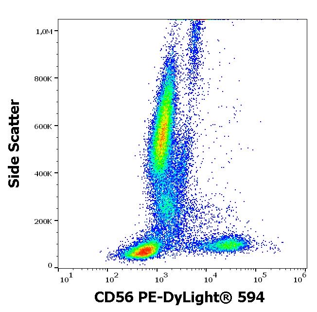 Anti-NCAM1 Antibody [LT56] (PE-DyLight(r) 594)