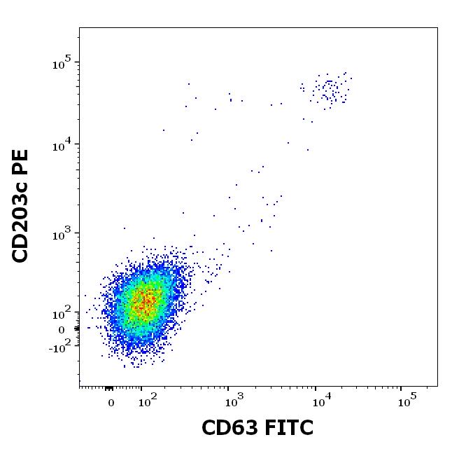 Recombinant Api g 1 (1.0101) Protein