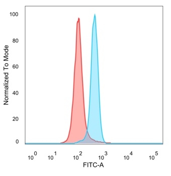 Anti-MSK1 Antibody [PCRP-RPS6KA5-1A8] - BSA and Azide free