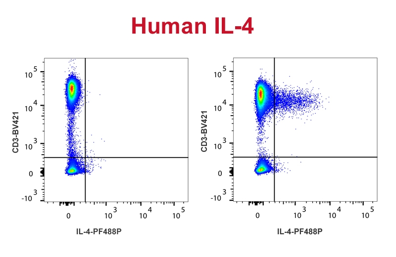 Anti-IL-4 Antibody [IL4-3] (PF488P)