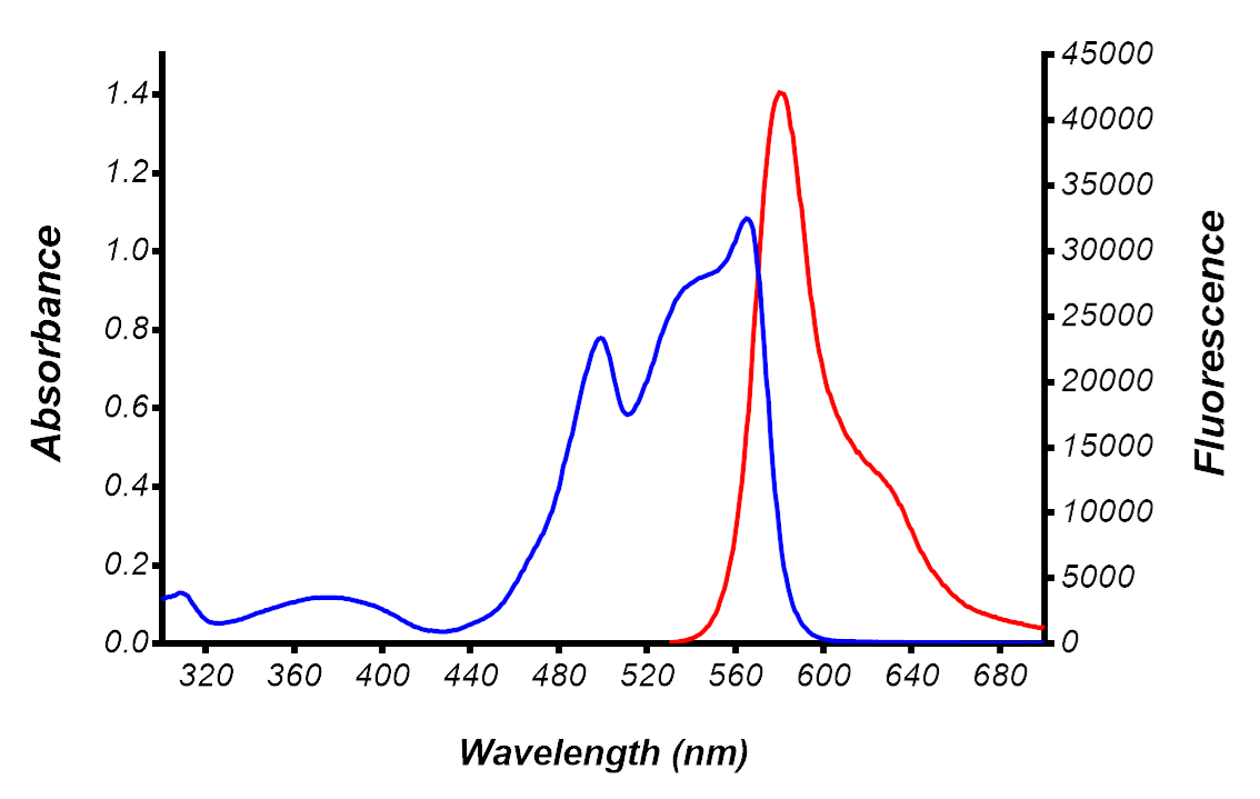 R-Phycoerythrin (R-PE)