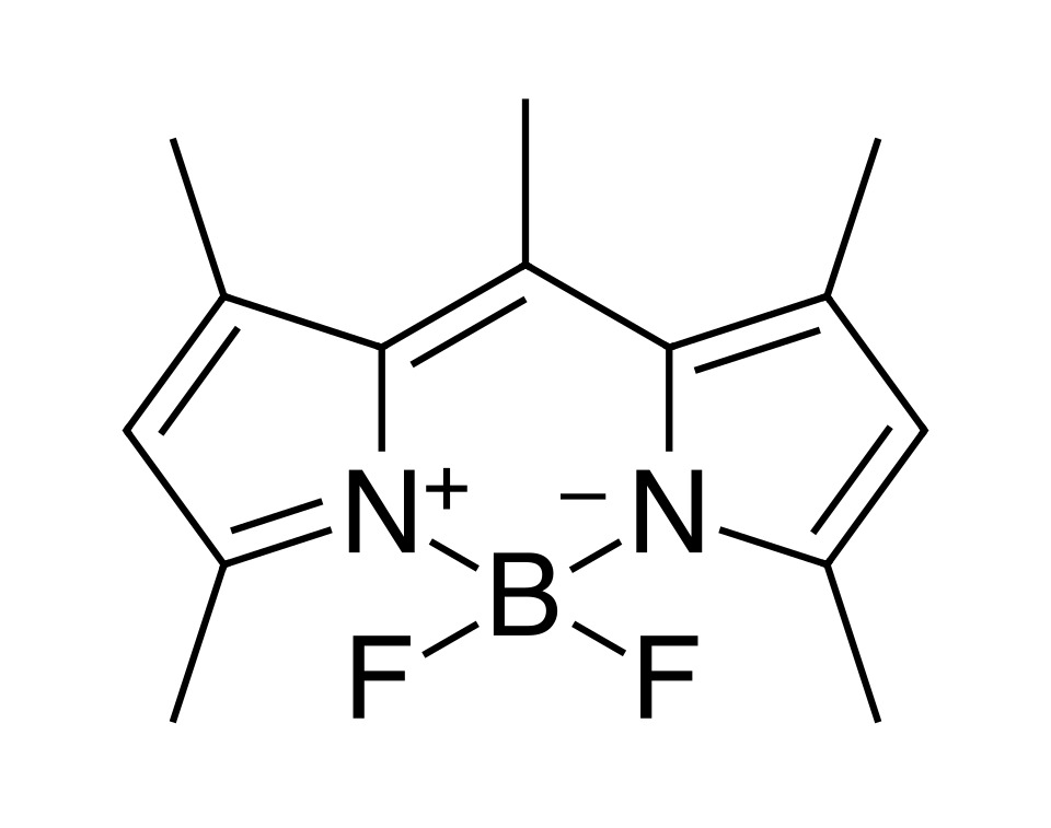 BDP 493/503 lipid stain [121207-31-6]