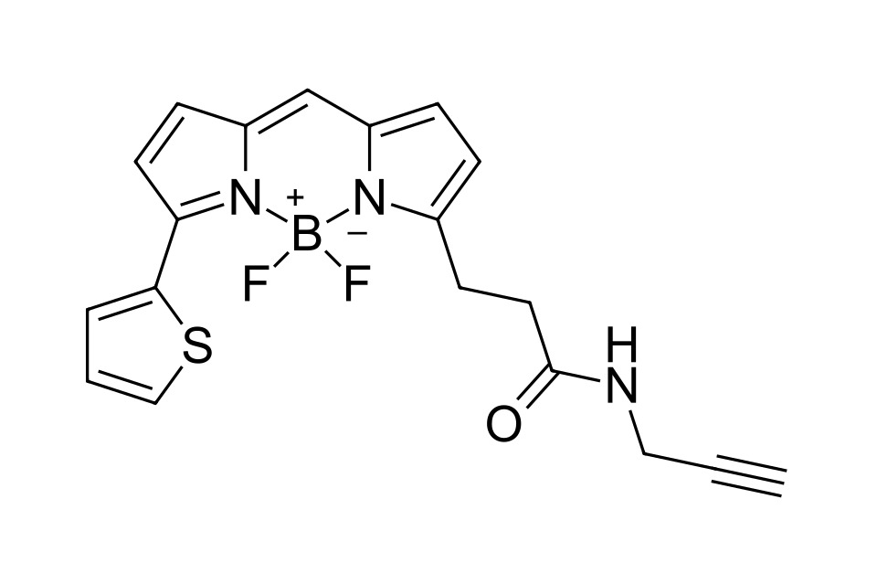 BDP 558/568 alkyne