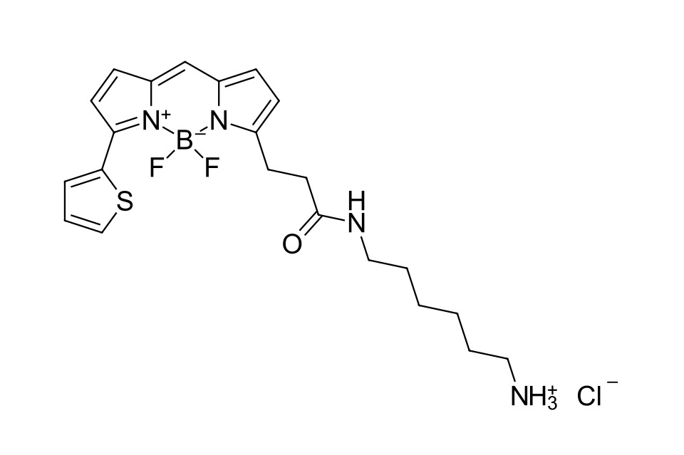 BDP 558/568 amine