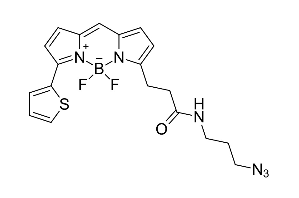 BDP 558/568 azide