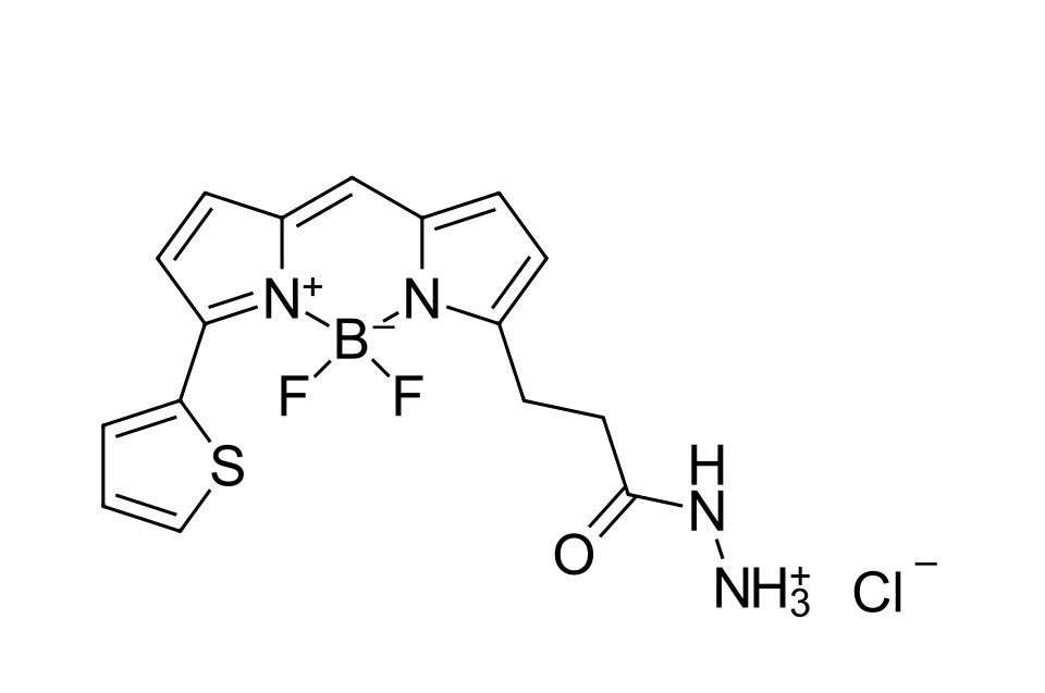 BDP 558/568 hydrazide