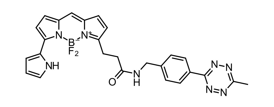 BDP 576/589 tetrazine