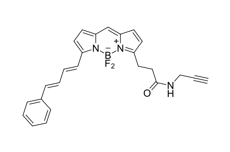 BDP 581/591 alkyne