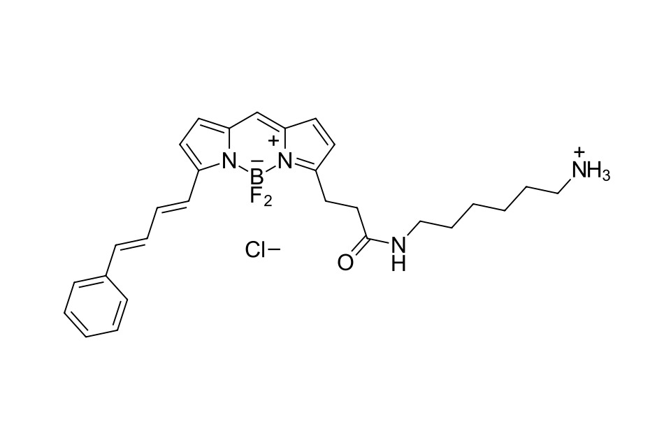 BDP 581/591 amine