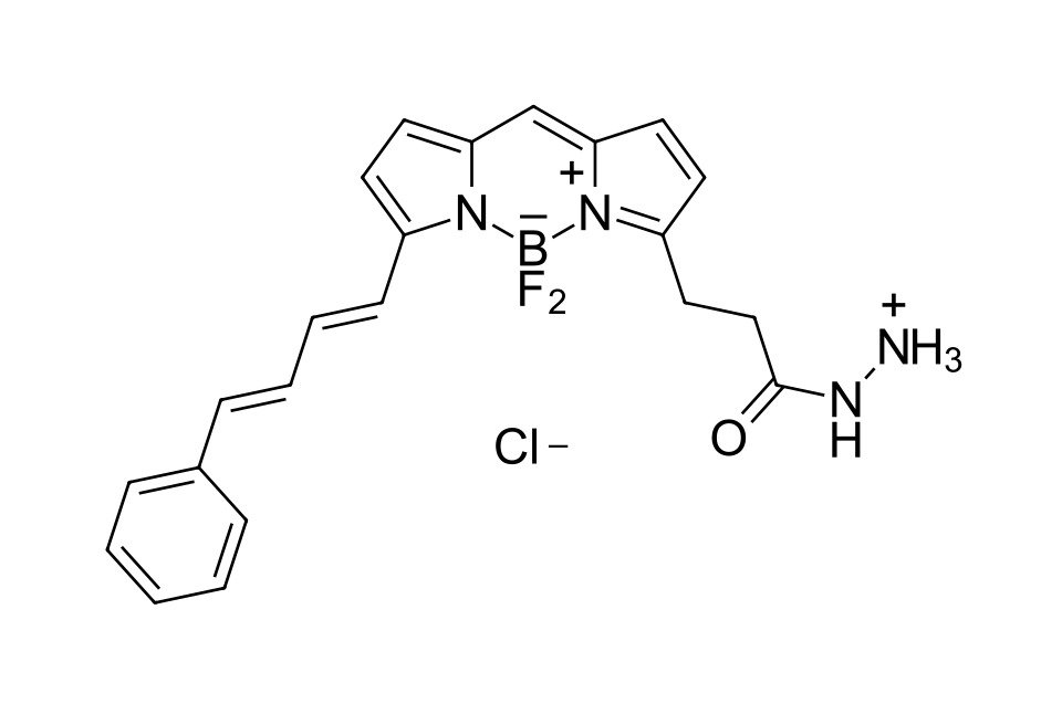 BDP 581/591 hydrazide