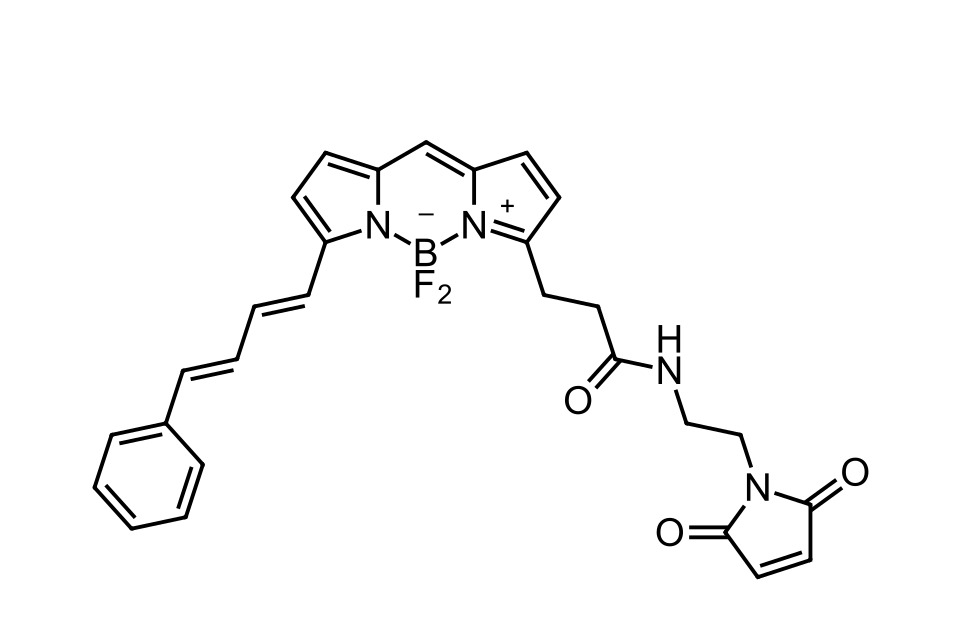 BDP 581/591 maleimide