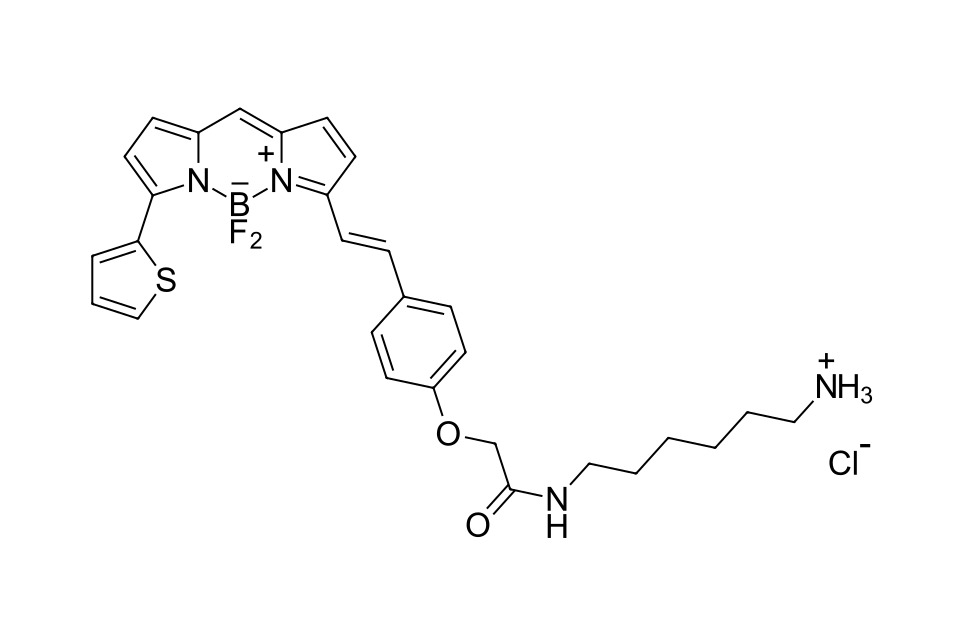 BDP 630/650 amine