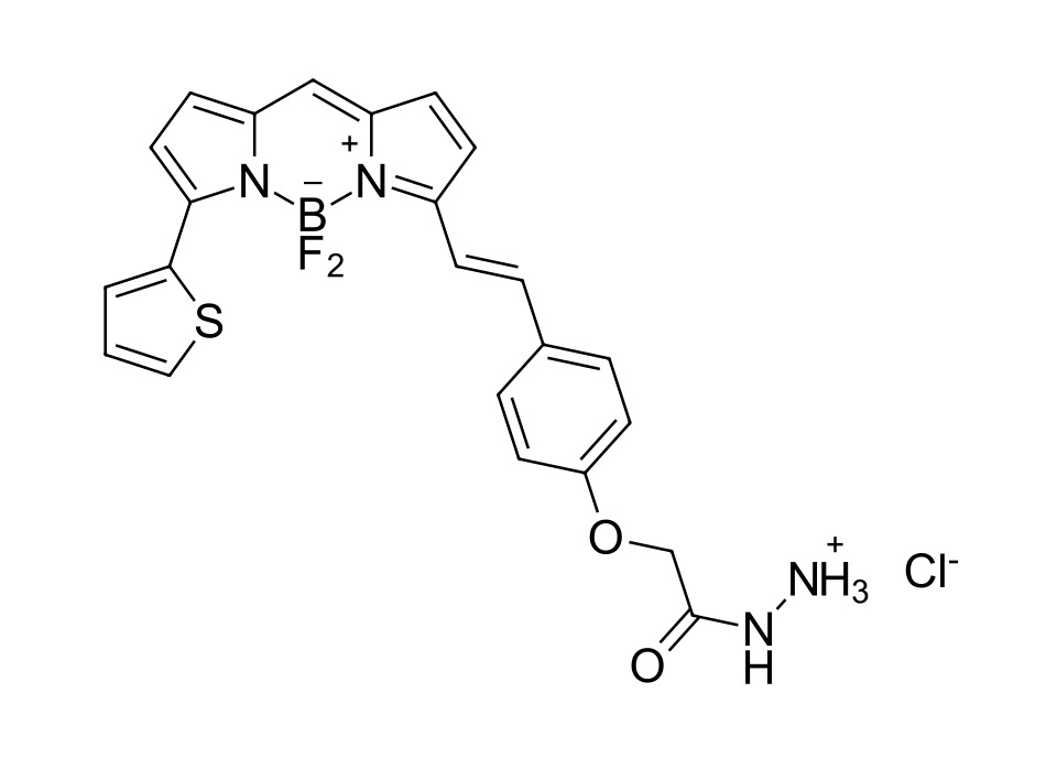 BDP 630/650 hydrazide