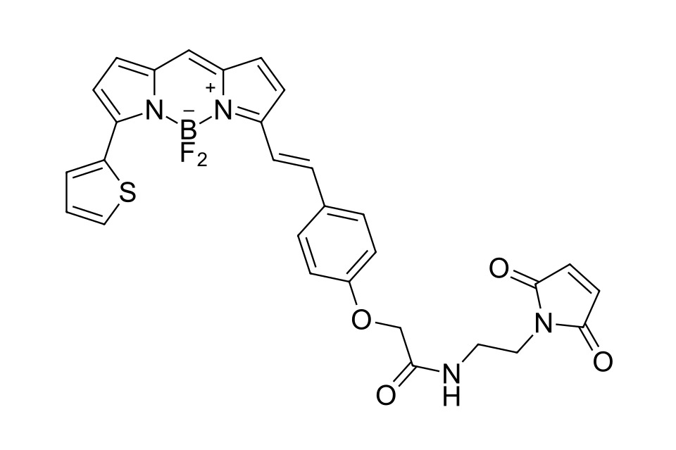 BDP 630/650 maleimide