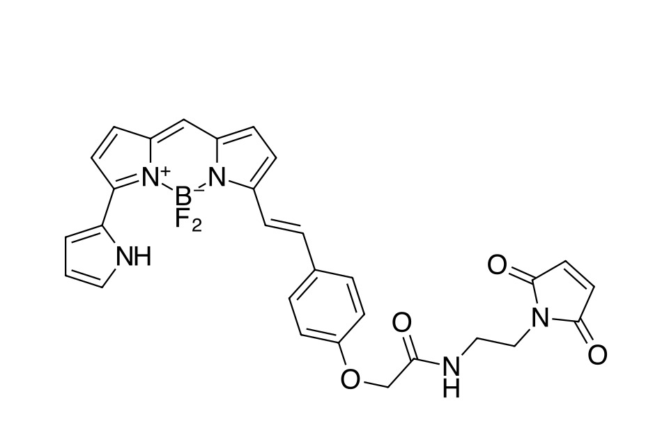 BDP 650/665 maleimide