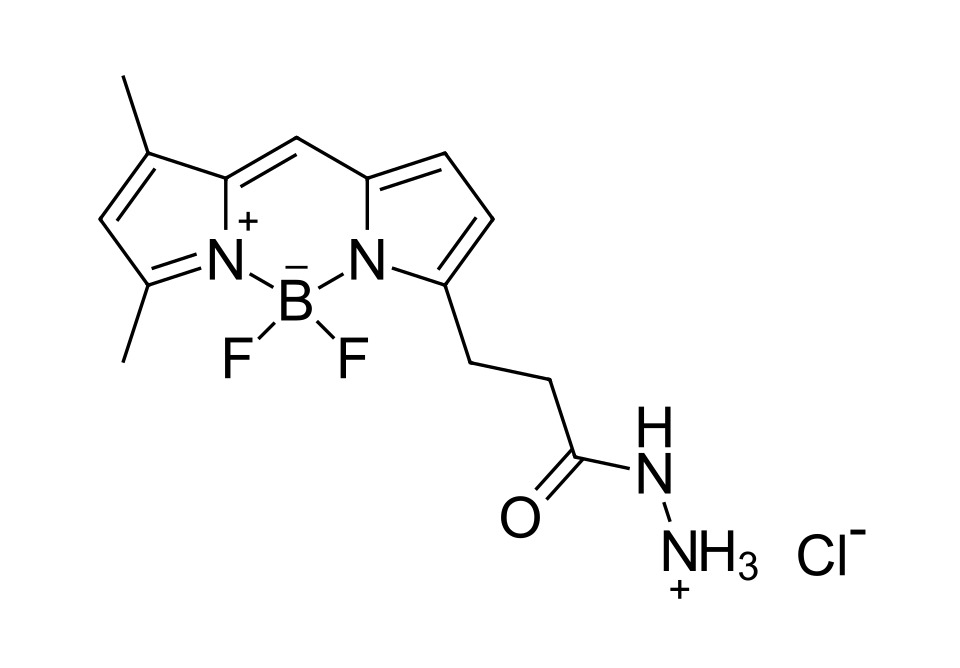 BDP FL hydrazide