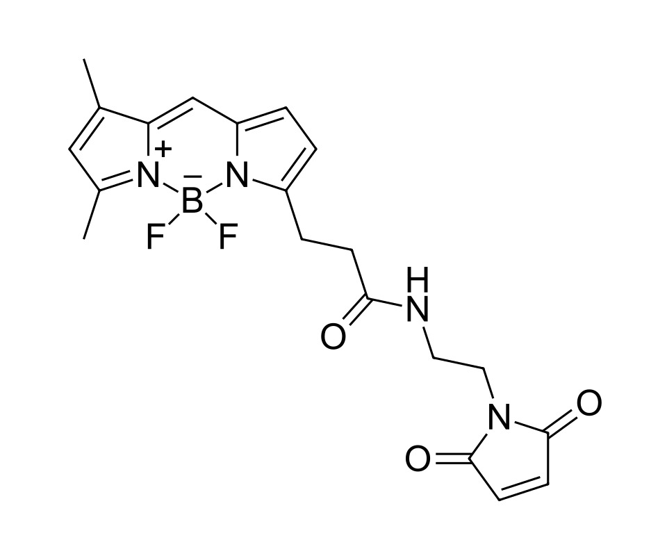 BDP FL maleimide