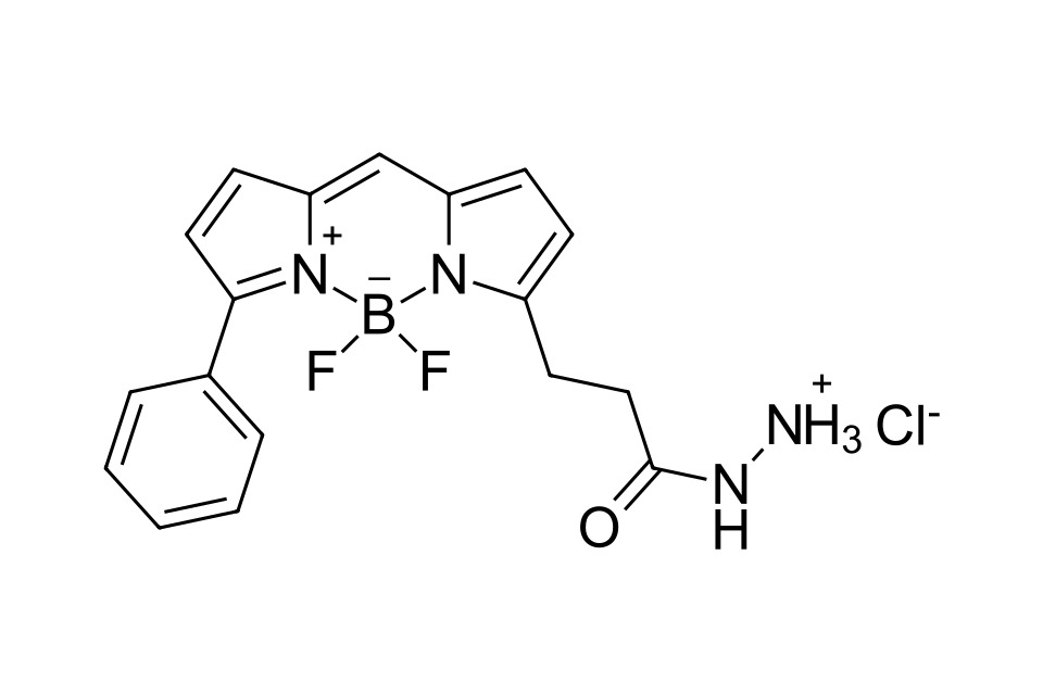 BDP R6G hydrazide