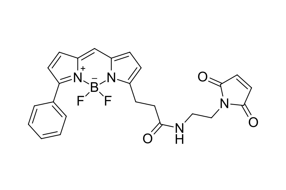 BDP R6G maleimide