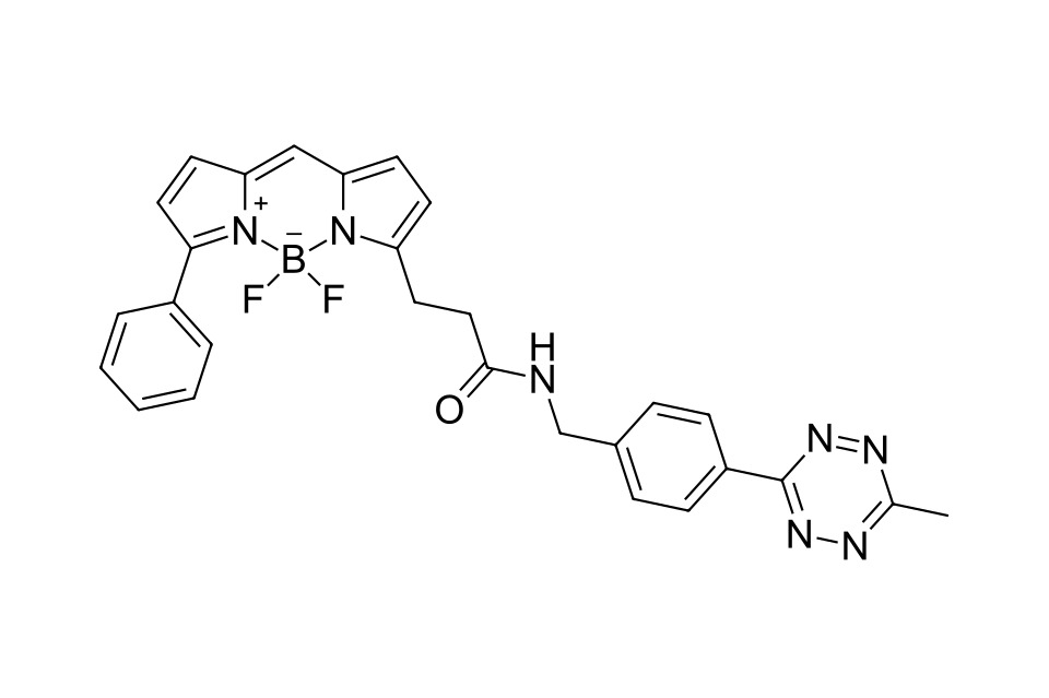 BDP R6G tetrazine