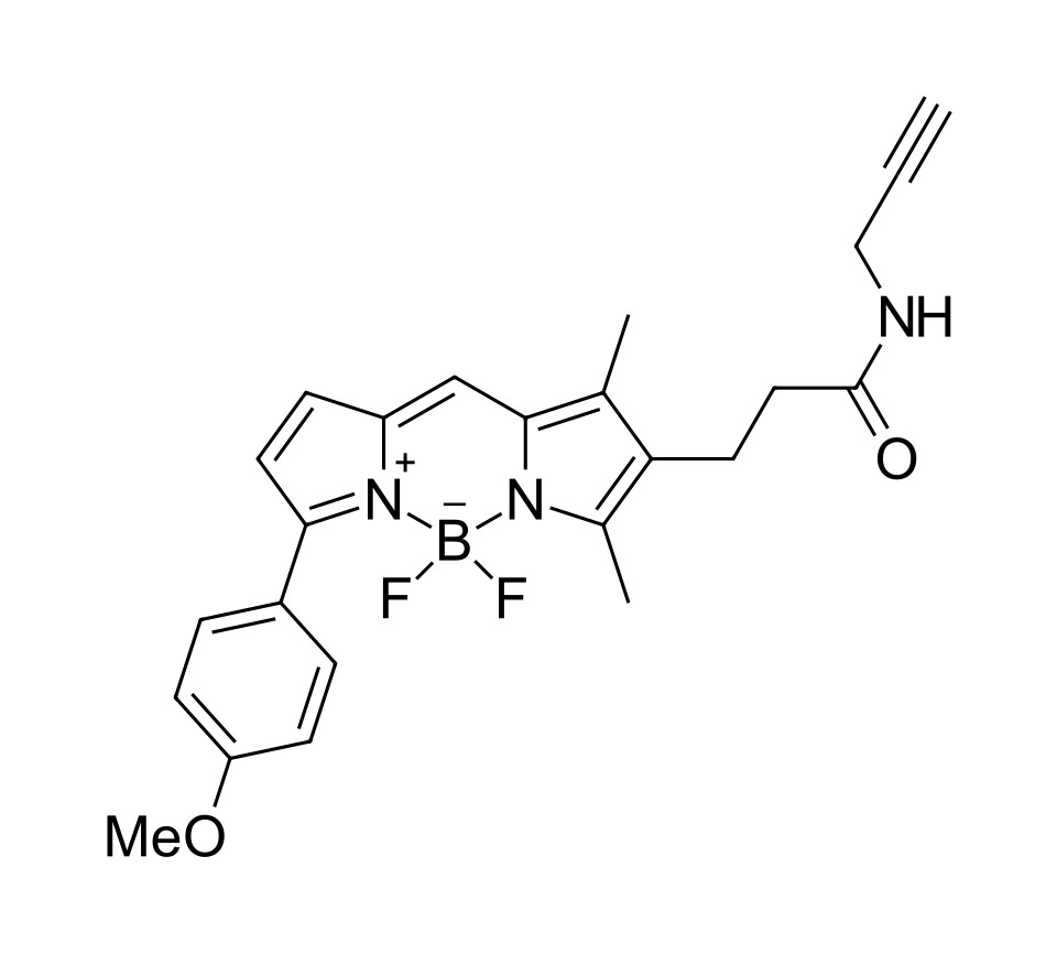 BDP TMR alkyne