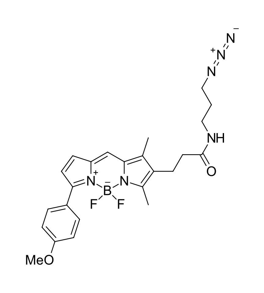 BDP TMR azide