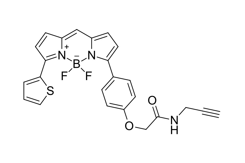 BDP TR alkyne