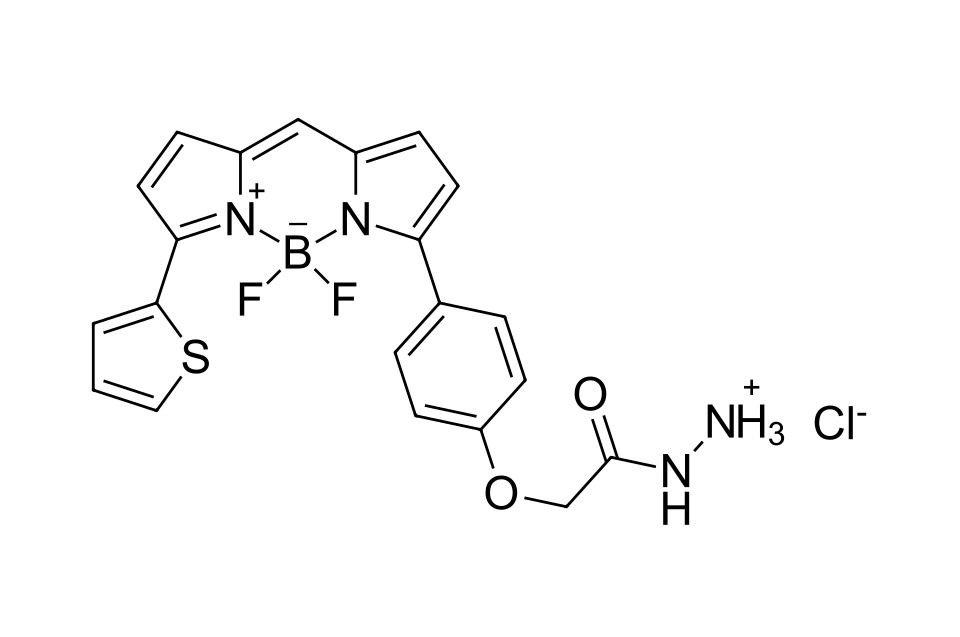 BDP TR hydrazide