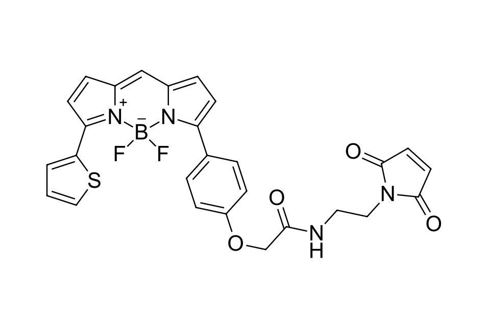 BDP TR maleimide