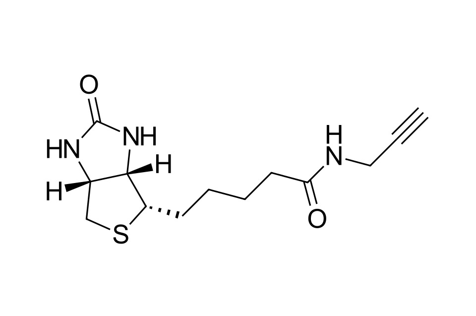 Biotin alkyne [773888-45-2]