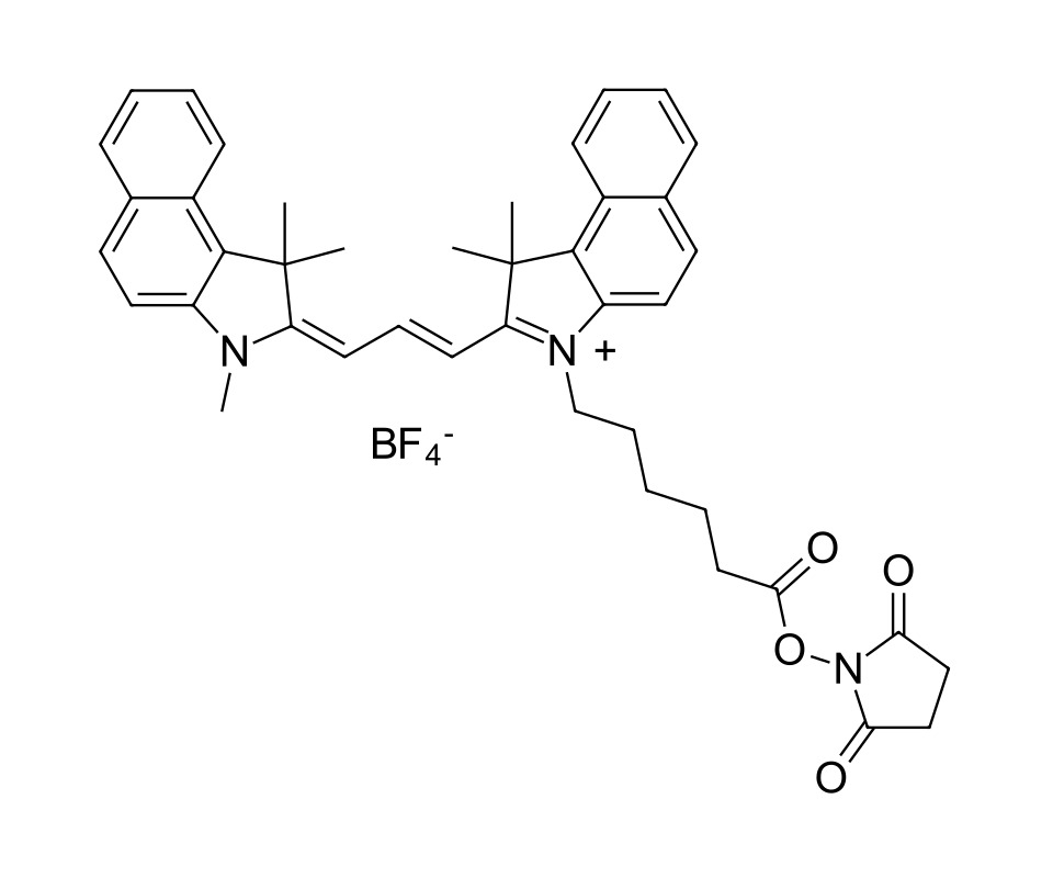 Cyanine 3.5 NHS ester