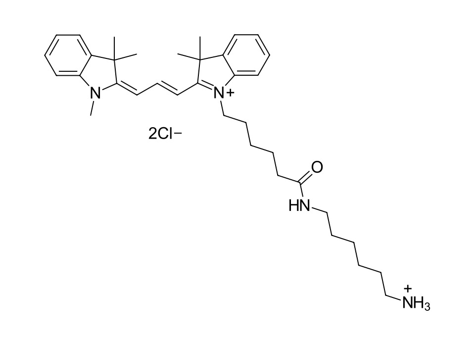 Cyanine 3 amine