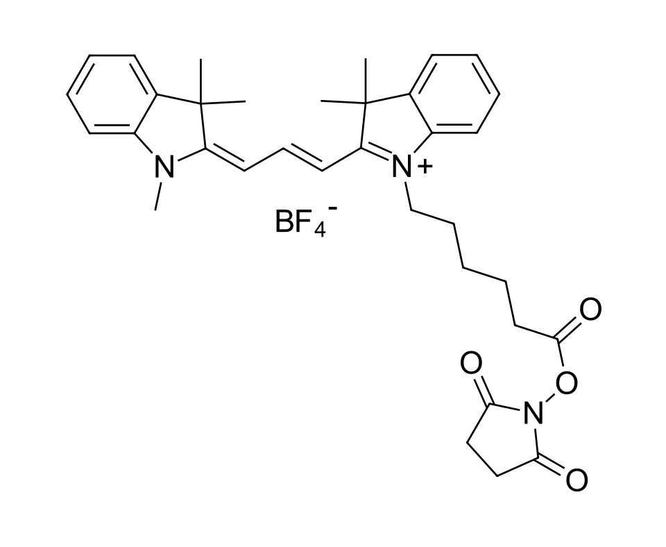 Cyanine 3 NHS ester