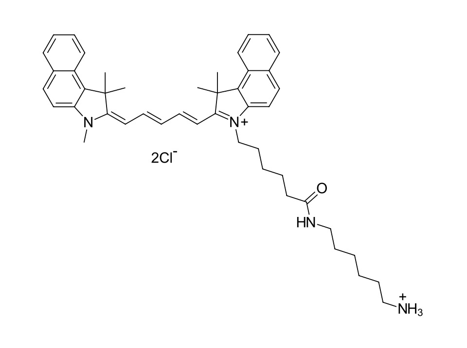 Cyanine 5.5 amine