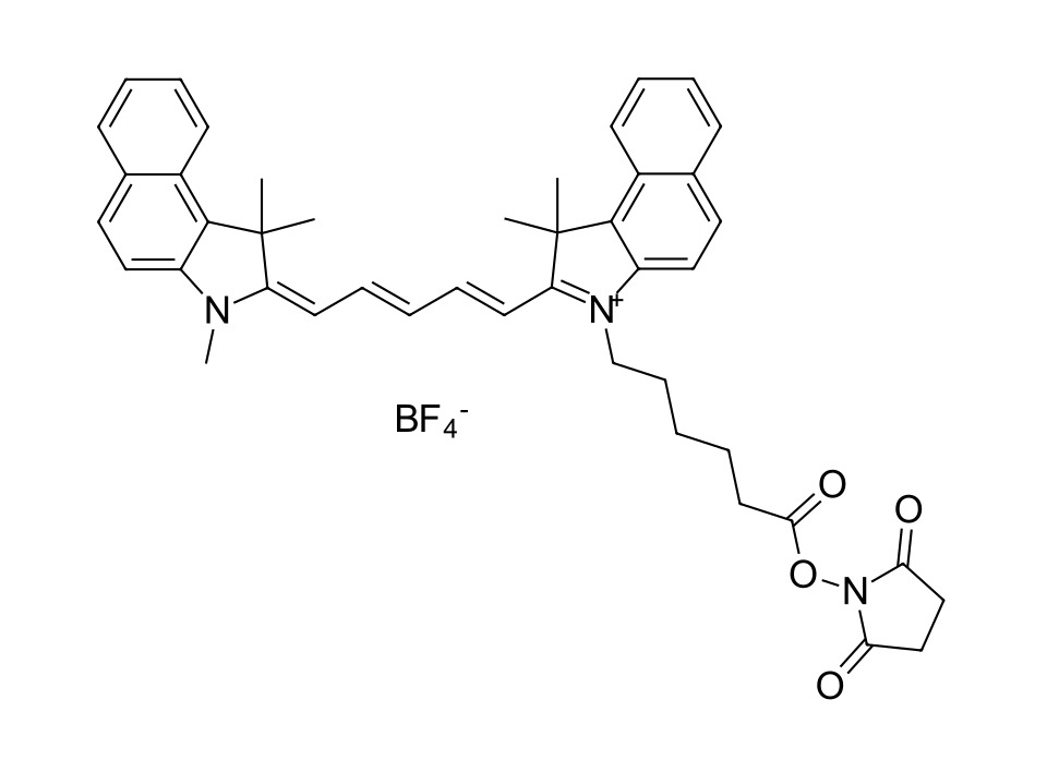 Cyanine 5.5 NHS ester