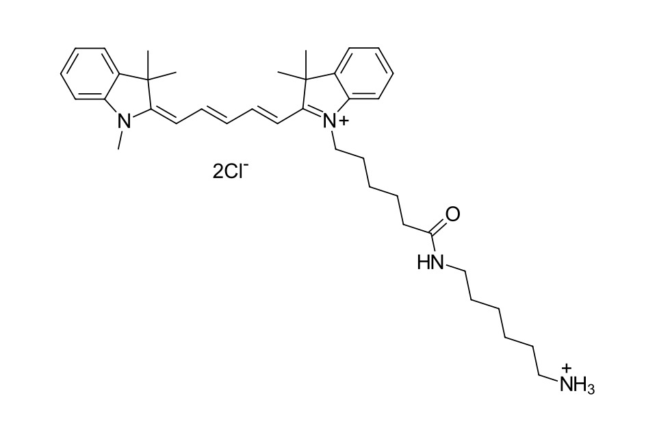 Cyanine 5 amine